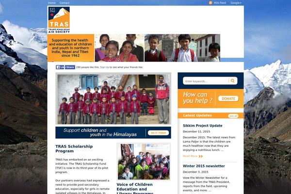 Busy Bee theme site design template sample