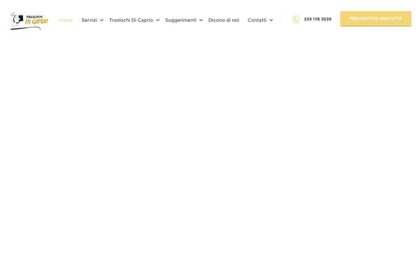 Wisemove theme site design template sample