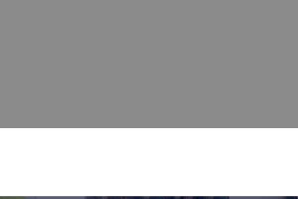 Site using Chaty plugin