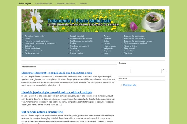 Mimbo theme site design template sample
