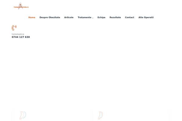 Healsoul theme site design template sample