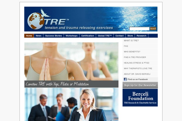 Cardinal Child theme site design template sample