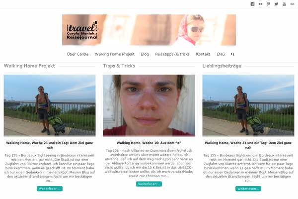Meteor theme site design template sample