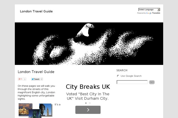 stallion-child theme websites examples