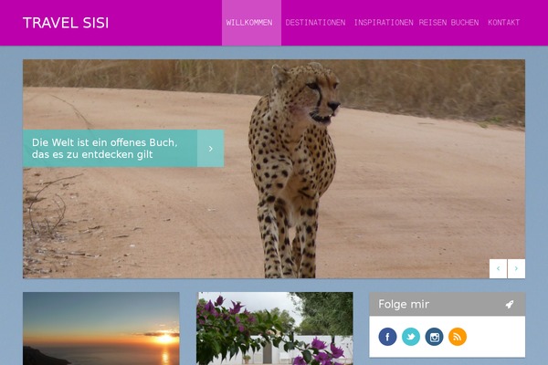 Safarica theme site design template sample