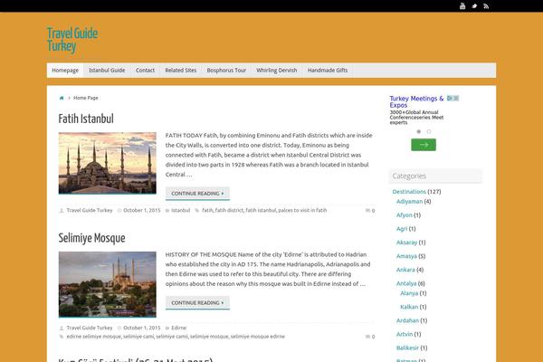 Site using Google Language Translator plugin