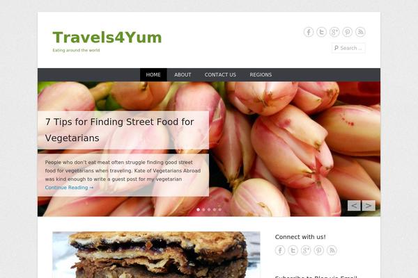 Catch Everest theme site design template sample
