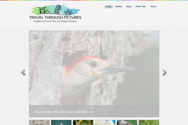 Statua theme site design template sample