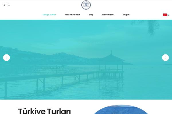 SetSail theme site design template sample