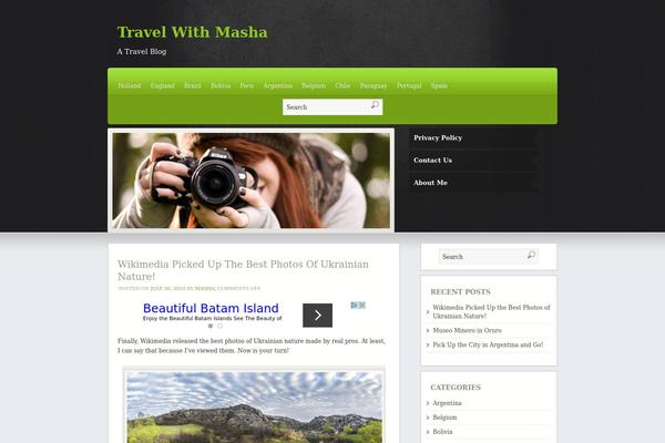 Martin theme site design template sample