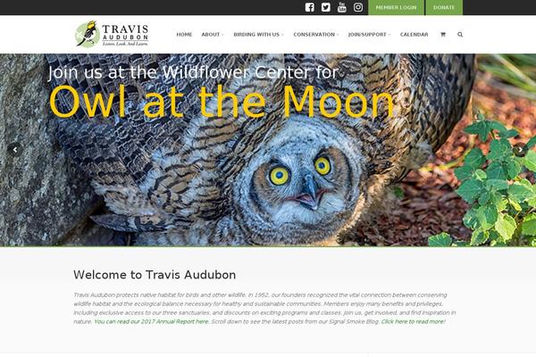 Gaea theme site design template sample