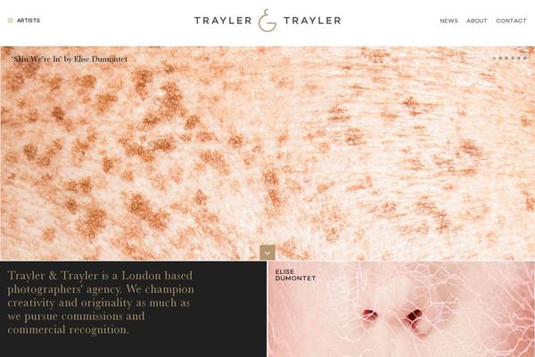 the-theme theme websites examples