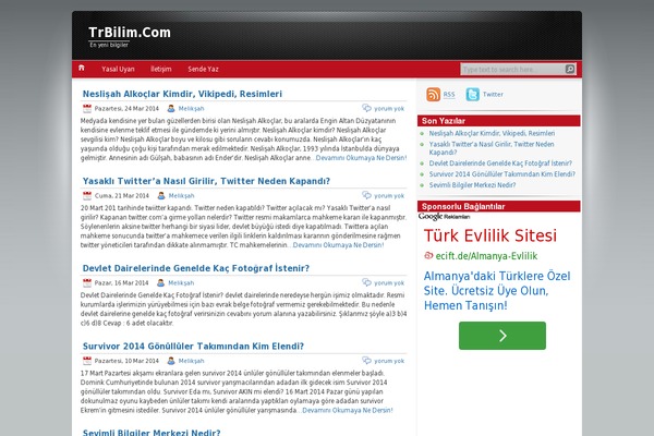 iNove theme site design template sample