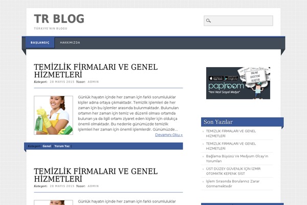 Living Journal theme site design template sample