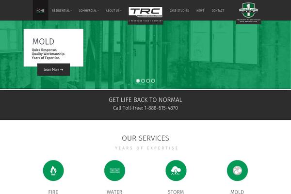 Renovation theme site design template sample