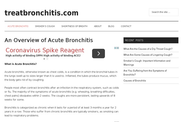 Magazine Pro theme site design template sample