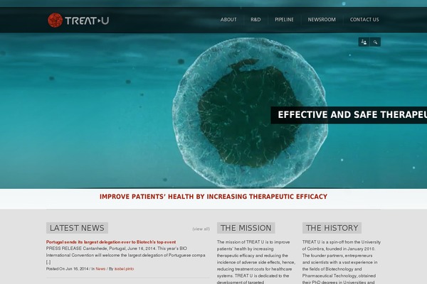 Ammon Theme theme site design template sample