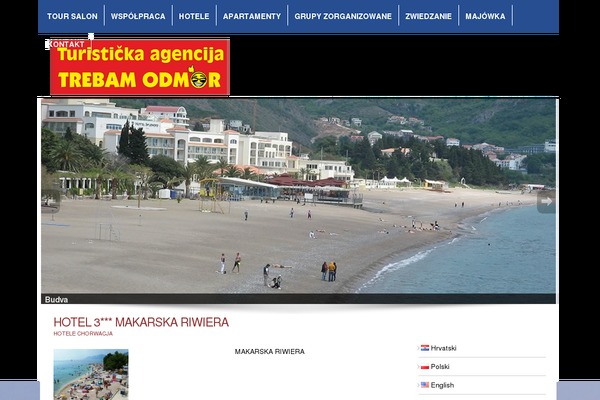 Cms theme site design template sample