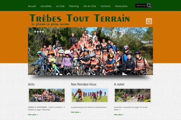 Boldy theme site design template sample