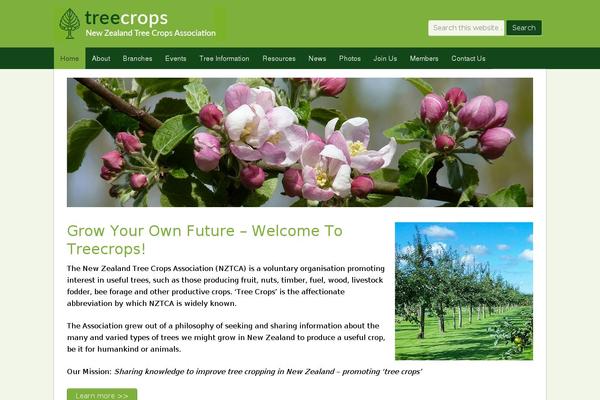 Genesis theme site design template sample