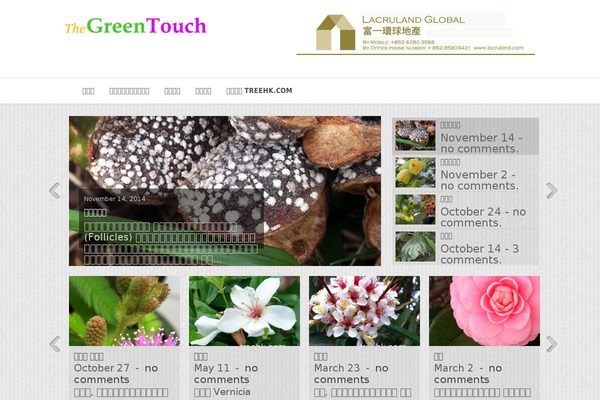 Curiosity theme site design template sample
