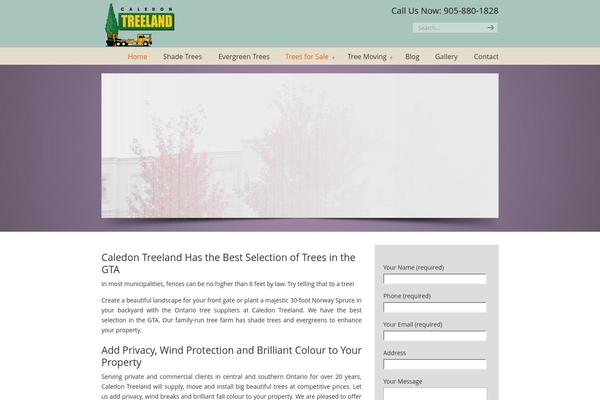 Site using Facebook Comments by Vivacity plugin