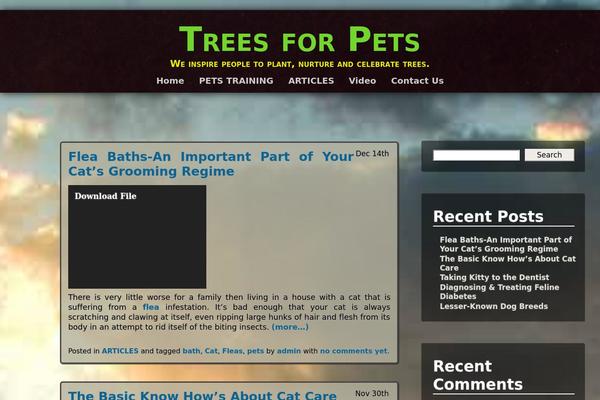 Adventure theme site design template sample