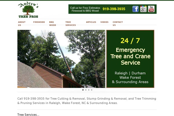 Elegance theme site design template sample
