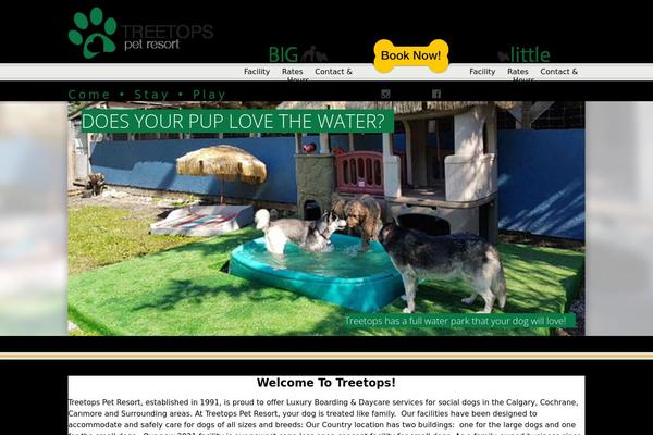 Site using Cms plugin