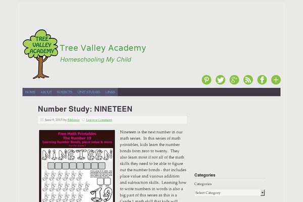 Site using Mediavine-trellis-images plugin