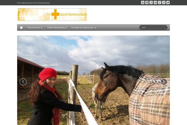 Site using New-social-media-widget plugin