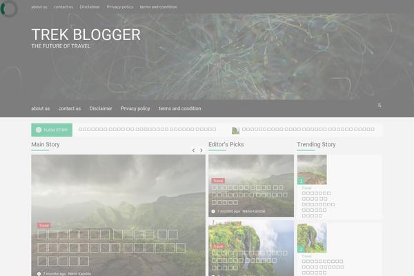 Newsment theme site design template sample