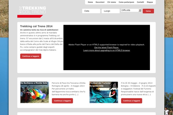 Vidley theme site design template sample