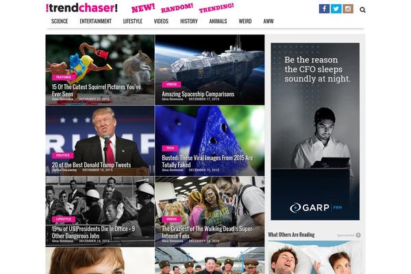 Common theme site design template sample