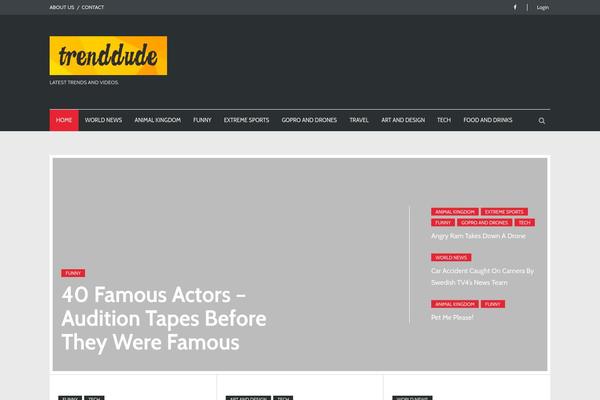 trenddude.com site used Ziggy