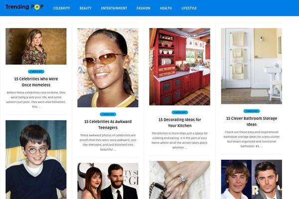 bou-wp-child theme websites examples