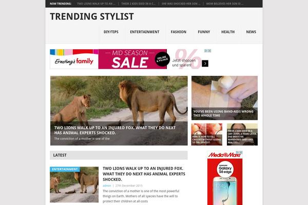 Point theme site design template sample