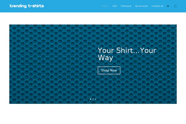 Divi theme site design template sample