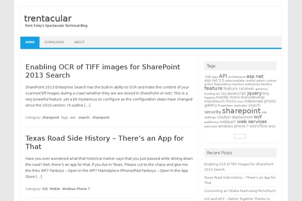 Iconic One theme site design template sample