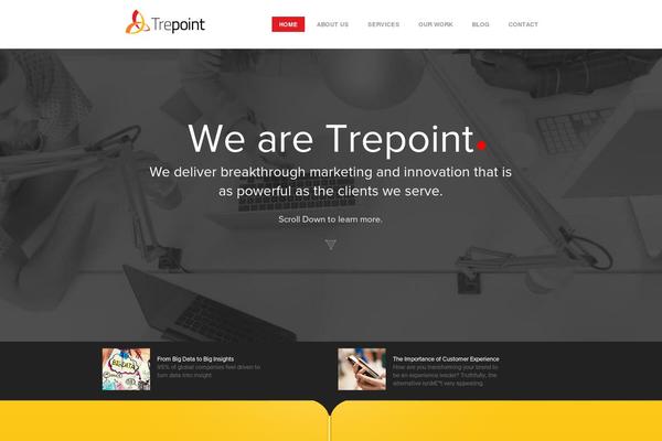 Everest theme site design template sample