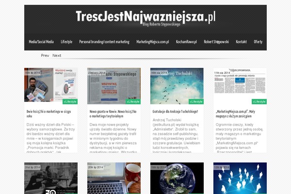 Theron_lite theme site design template sample