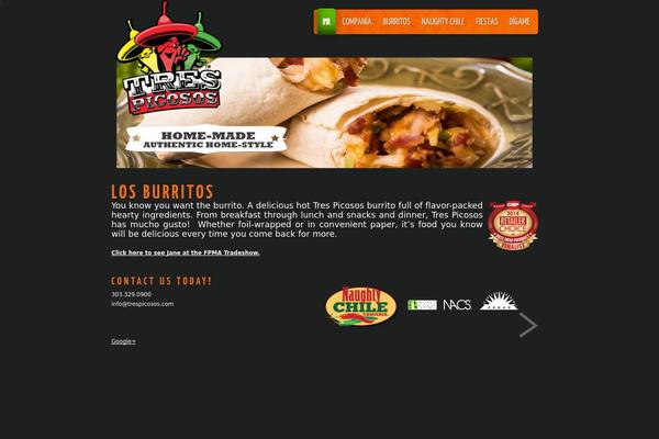WordPress theme site design template sample