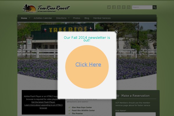 Wellness theme site design template sample