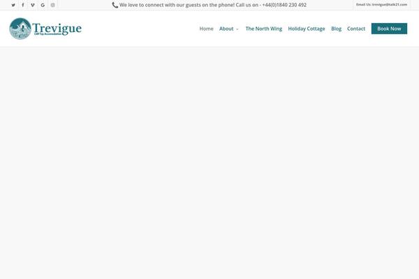 Salient theme site design template sample