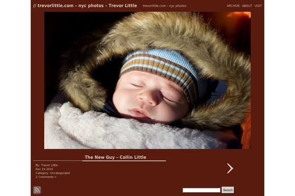 monotone theme websites examples