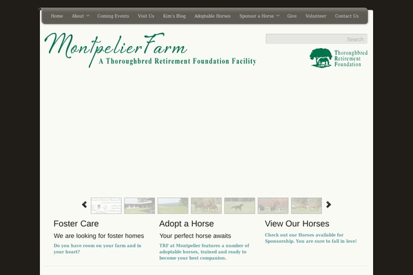 Unite theme site design template sample