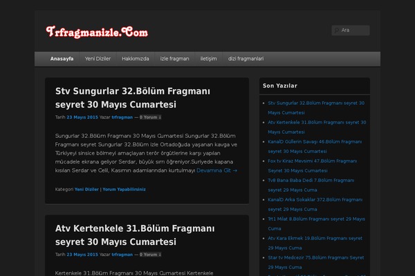 Site using Easy Custom Auto Excerpt plugin