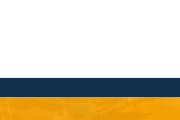 Site using Amazon-polly plugin