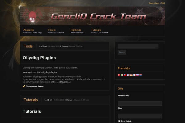 Site using Global Translator plugin