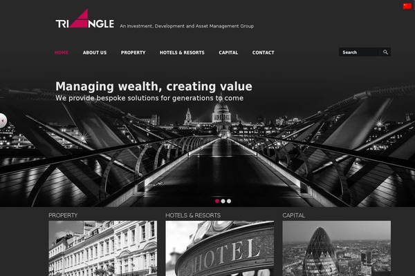 Triangle theme site design template sample